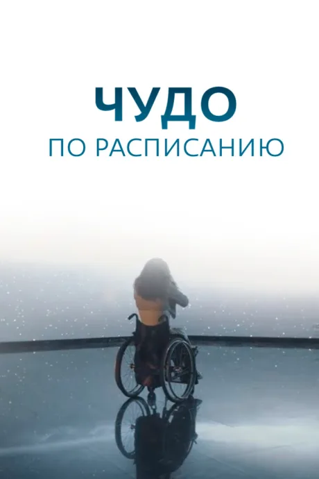 Чудо по расписанию (сериал 2016)