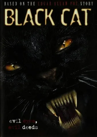 Чёрный кот (2003)