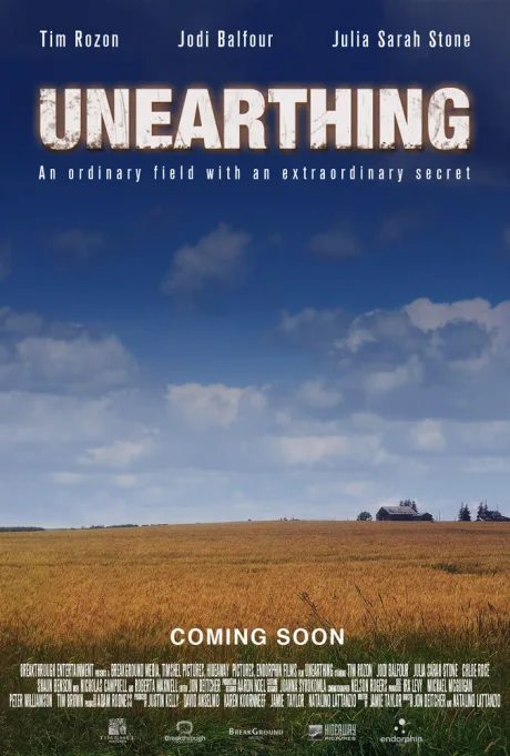 Тайна Стиллуотер (2015)